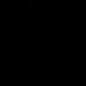 Meet your Posher, Allie