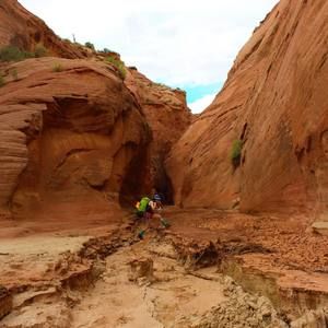 Meet your Posher, Heidi