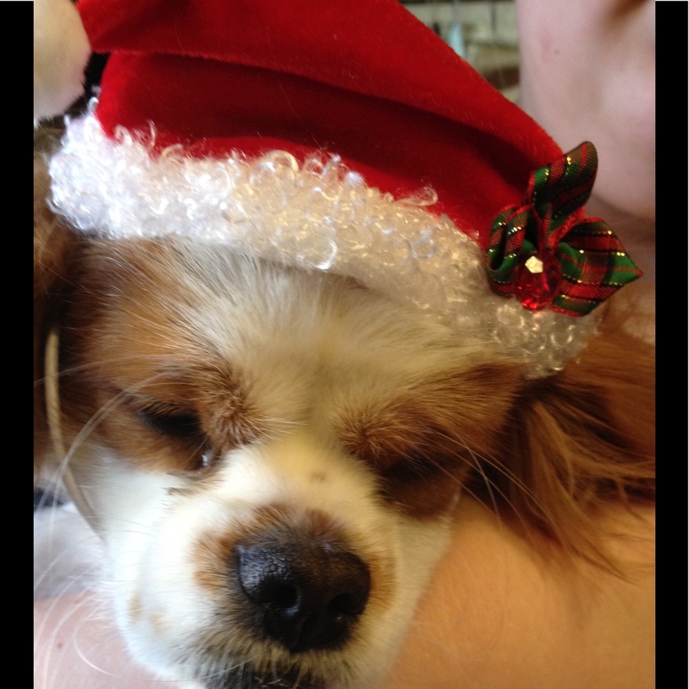 Meet your Posher, Jenee'