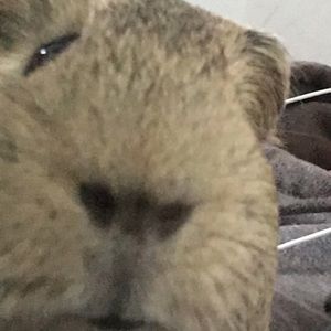 Meet your Posher, Noah