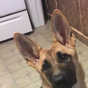 Meet your Posher, Karina