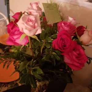 Meet your Posher, Ana