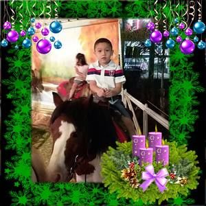 Meet your Posher, Ines