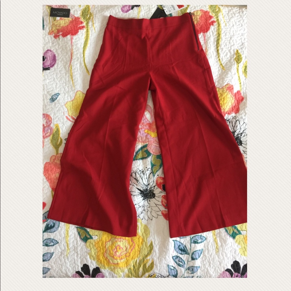 Zara culottes