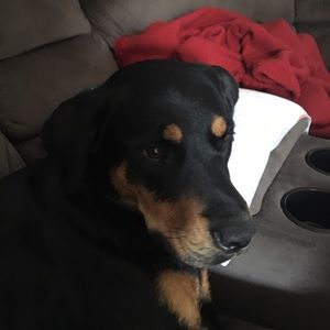 Meet your Posher, Beth