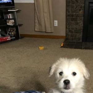 Meet your Posher, Sara