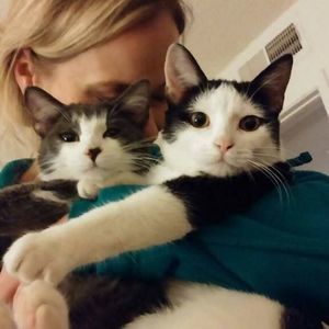 Meet your Posher, Donna