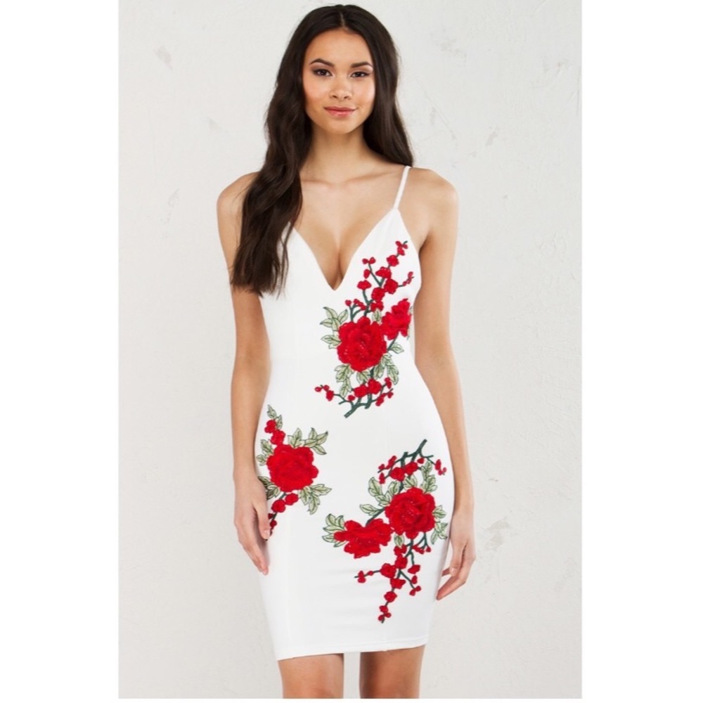 Akira dress with embroidered roses 🌹