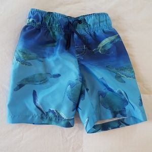 Crazy 8 Boys 3T Swim Trunks Shorts