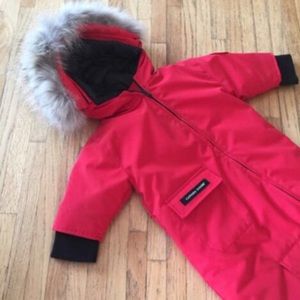 Canada Goose Down Bunting