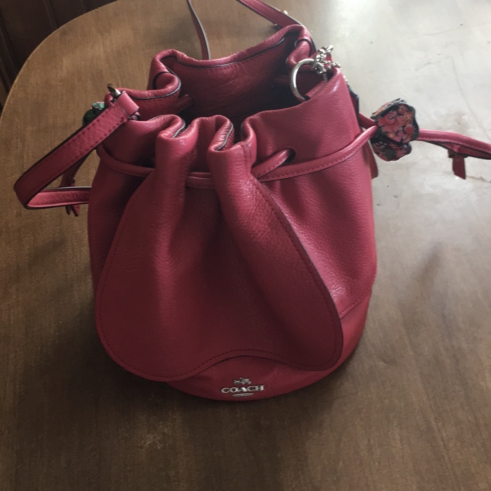 Coach Leather Crossbody Petal Bucket purse