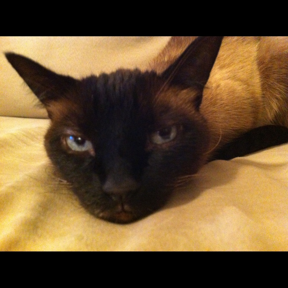 Meet your Posher, Jaclyn