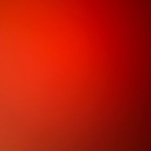 Meet your Posher, Lily