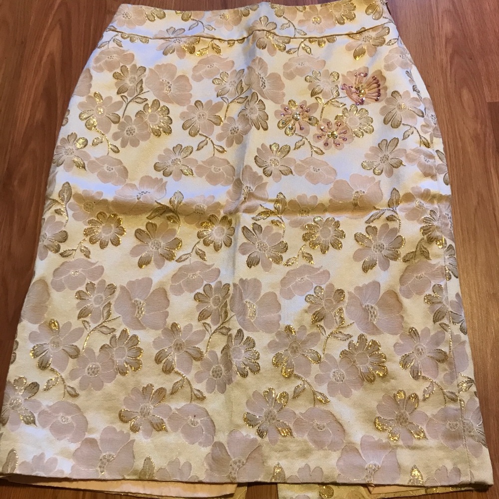 Banana Republic fancy beautiful lined skirt size 2