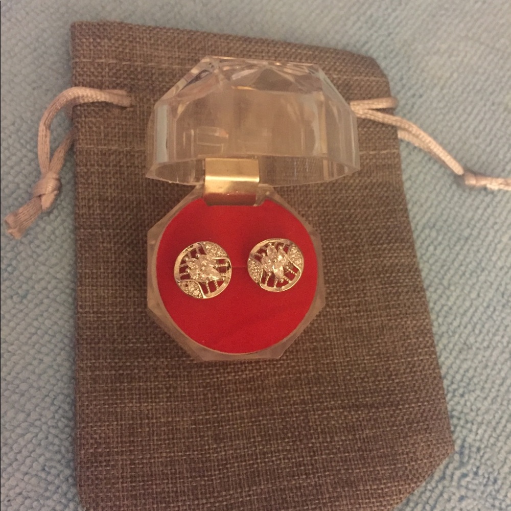 Beautifully designed earrings NWT