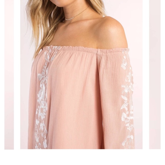 Tobi Shift Dress NWT - Picture 3 of 10