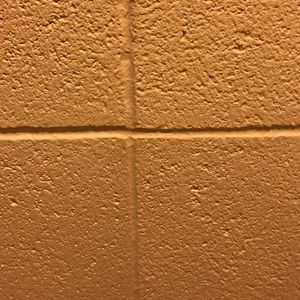 Meet your Posher, Ron