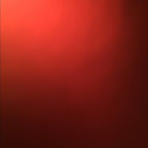 Meet your Posher, Warren