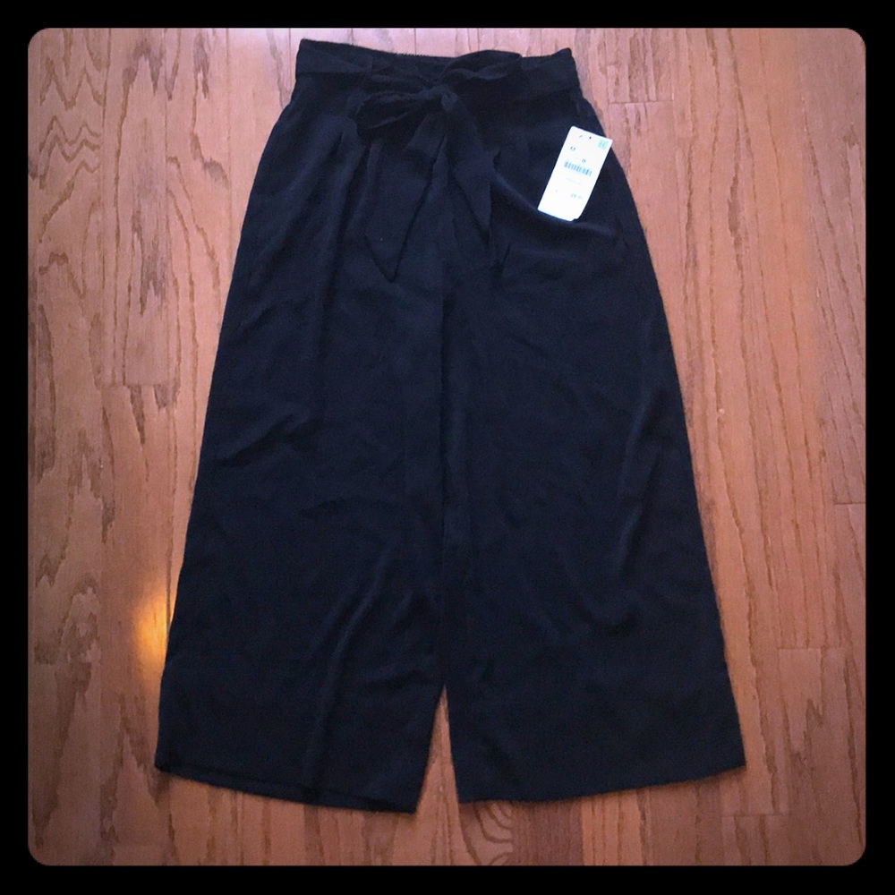 Zara pants
