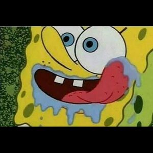 Meet your Posher, Elena