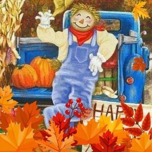 Meet your Posher, Robin