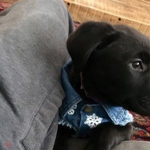 Meet your Posher, Matlyn