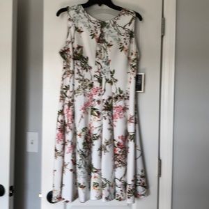 Julian Taylor A Line dress 👗 New w/tags