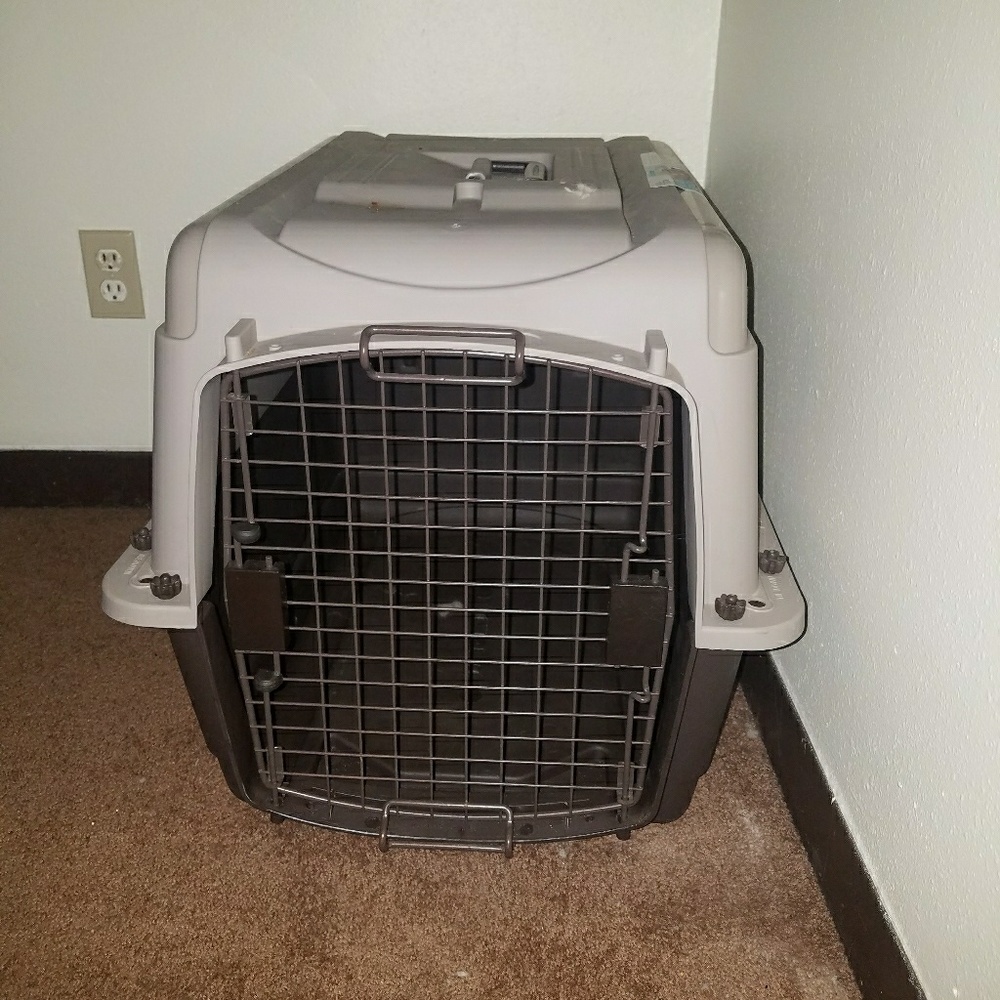 Dog Kennel