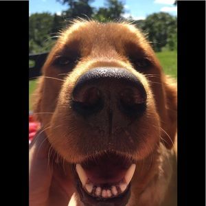 Meet your Posher, Emily