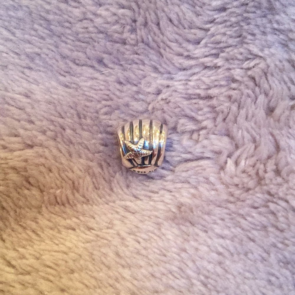 Pandora Shell Charm