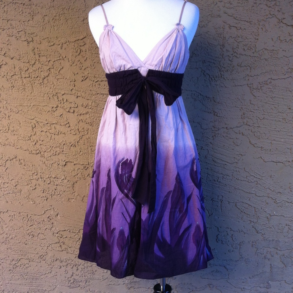 Max Studio Purple Ombré Empire Waist Dress