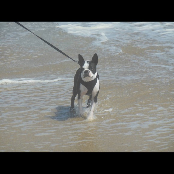 Meet your Posher, Carrie - Picture 2 of 2