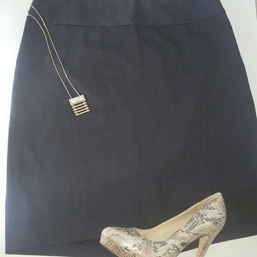 Pencil Skirt THE limited