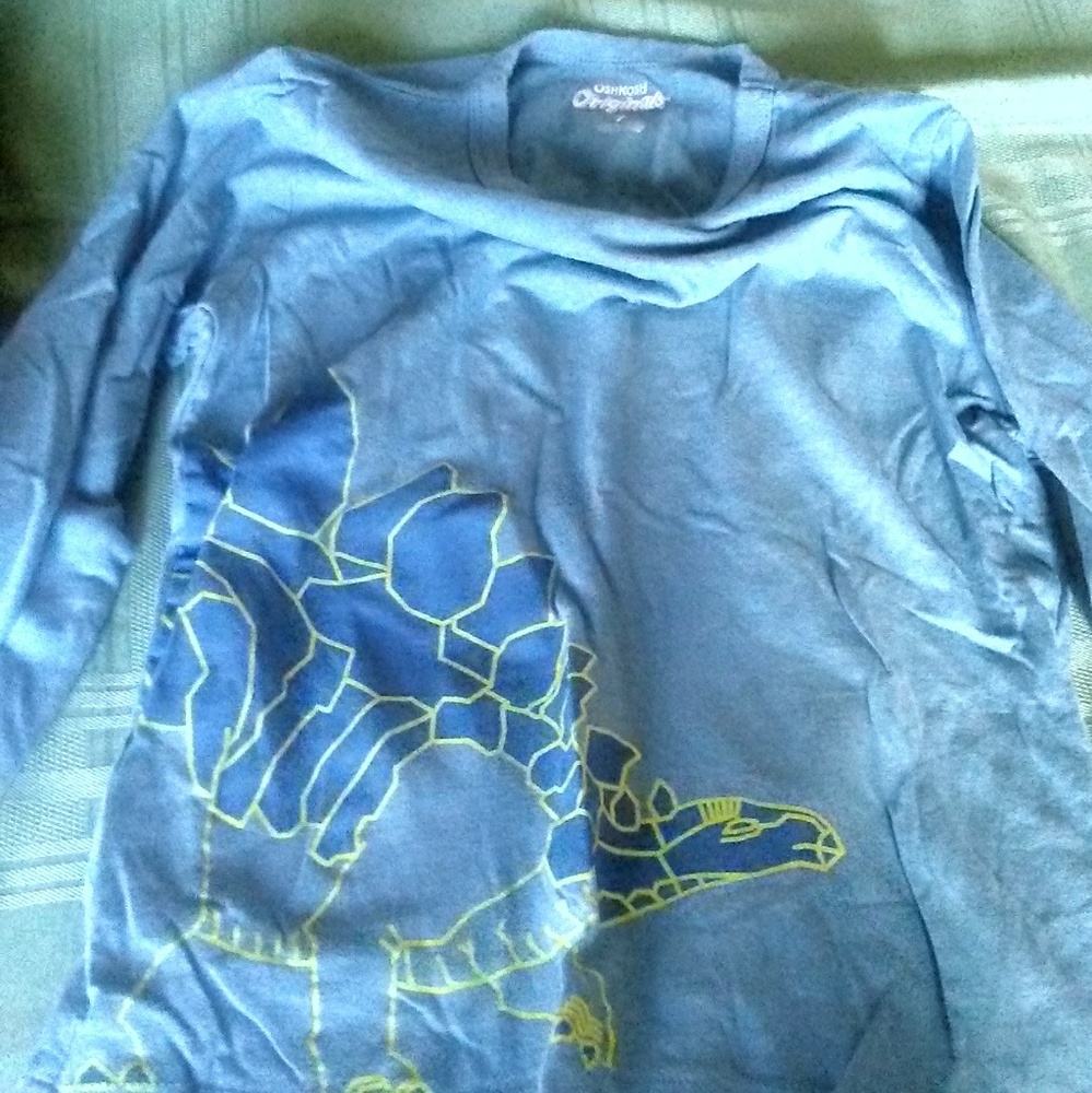 Cute blue dinosaur shirt