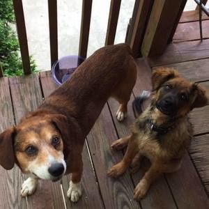 Meet your Posher, Zach