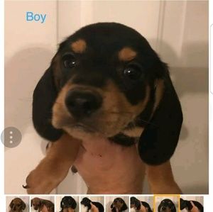 Meet your Posher, Jamie