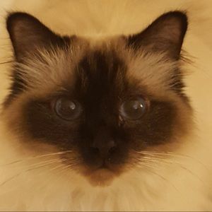 Meet your Posher, Genieve