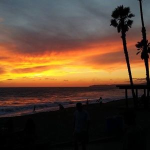 Meet your Posher, Robin