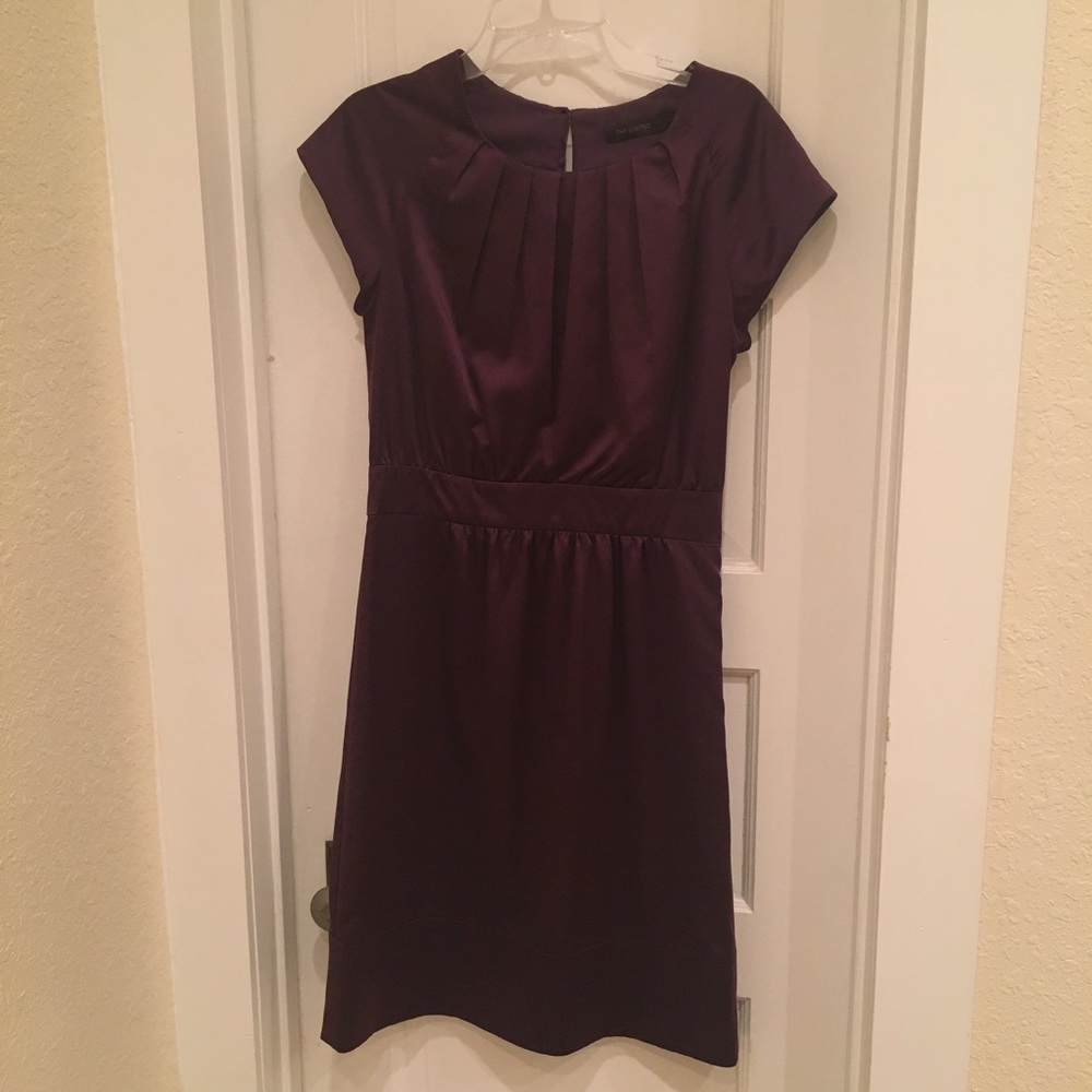 The Limited short plum party holiday dress size 4