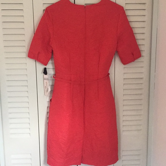 Belted shift dress - Picture 2 of 4