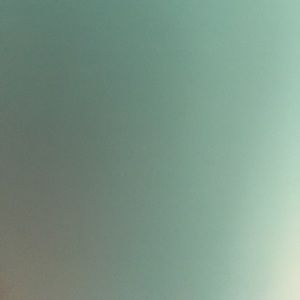 Meet your Posher, Sandy