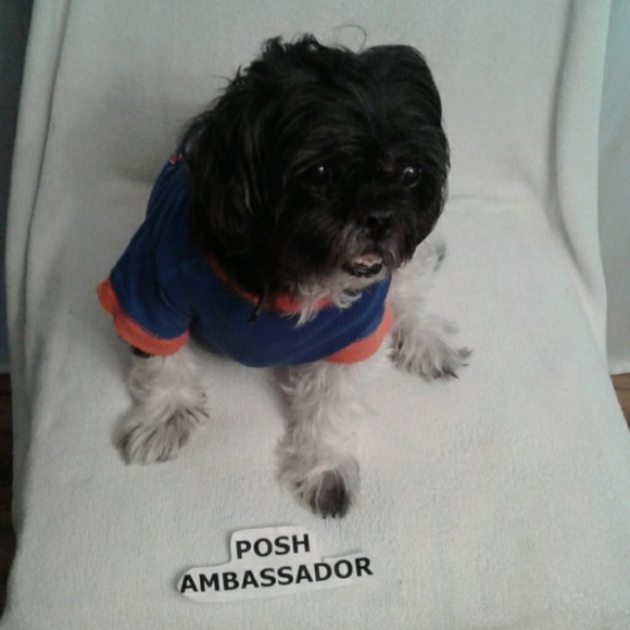 Meet your Posher. - Picture 2 of 2