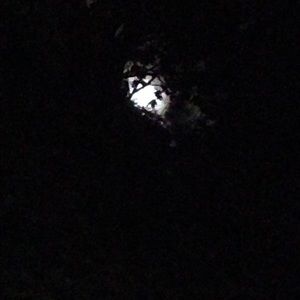 Meet your Posher, Jose