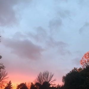 Meet your Posher, Audrey