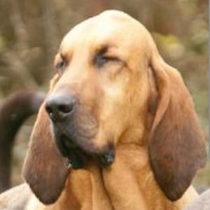 Meet your Posher, Jakob