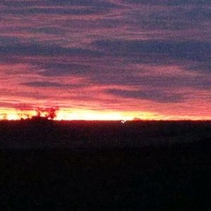 Meet your Posher, Bailey