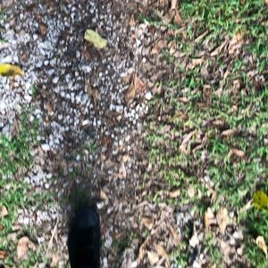 Meet your Posher, Adelmo