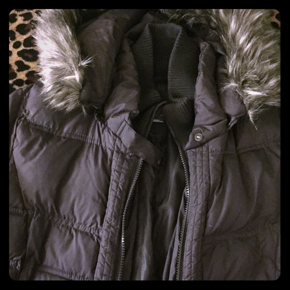 Larry Levine Puffy Coat with Waterfowl Feathers