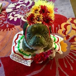 Meet your Posher, Joan marie