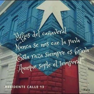 Meet your Posher, Yashira